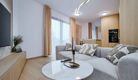 Rent One bedroom apartment, One bedroom apartment, Košice - Západ, Slo