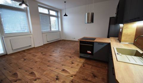 Rent One bedroom apartment, One bedroom apartment, Levočská, Stará Ľub