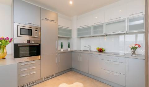 One bedroom apartment, Pribinova, Rent, Bratislava - Staré Mesto, Slov