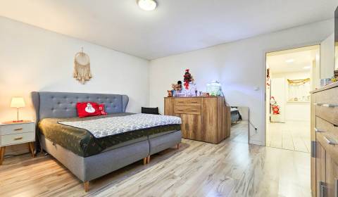 Sale Family house, Family house, Trnavská, Senec, Slovakia