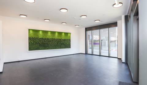 Rent Commercial premises, Commercial premises, Súkennícka, Bratislava 