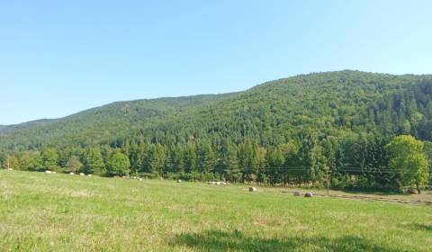 Sale Land – for living, Land – for living, Detva, Slovakia