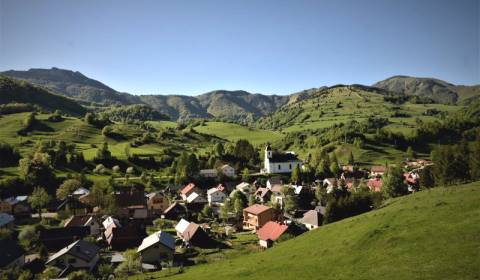 Sale Agrarian and forest land, Agrarian and forest land, Ružomberok, S