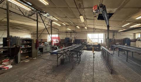 Rent Storehouses and Workshops, Storehouses and Workshops, Mlynská, Pe