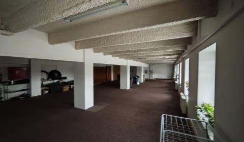 Rent Offices, Offices, Zalužice, Michalovce, Slovakia