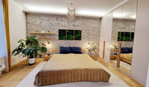 Rent Two bedroom apartment, Two bedroom apartment, Lesík delostrelcov,