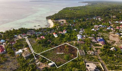 LAND 9000 SQM ONLY 100 M FROM THE BEACH IN KIZIMKAZI