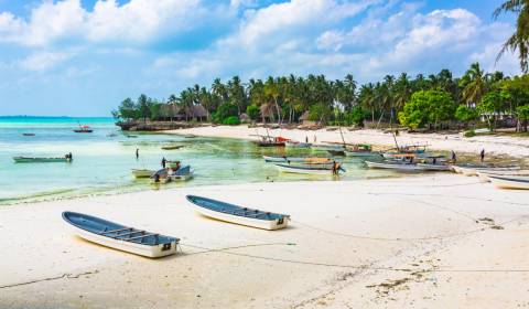 Land  9000 sqm only 100 m from the beach in Kizimkazi