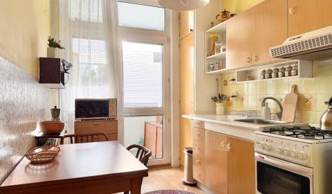 Cozy 2-Room Apartment for Rent in Žilina's Solinky Area
