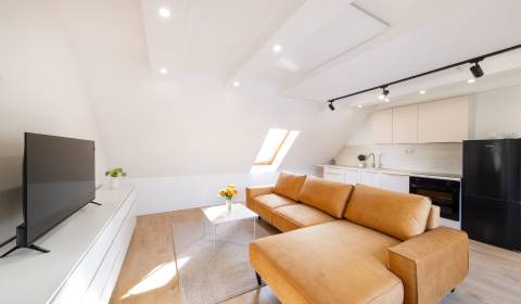 Rent One bedroom apartment, One bedroom apartment, Beniakova, Nitra, S