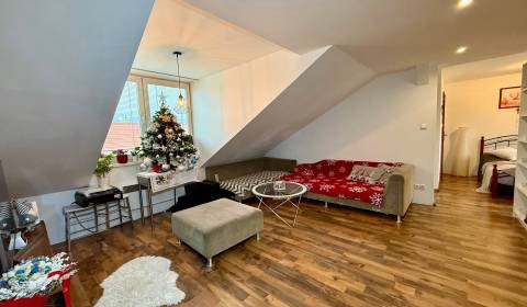 Sale Two bedroom apartment, Two bedroom apartment, Daniela Dlabača, Ži