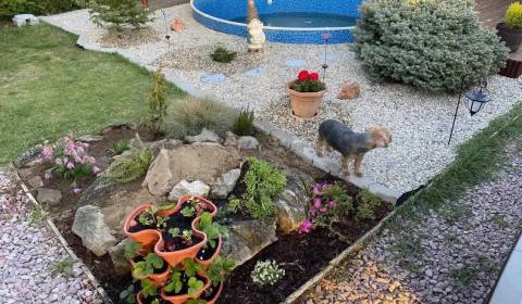 Sale Cottage, Cottage, Šaľa, Slovakia