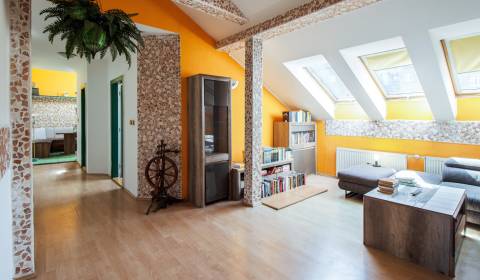 Sale Three bedroom apartment, Three bedroom apartment, Ľadová, Bratisl