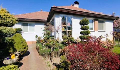 Sale Family house, Family house, Šaľa, Slovakia