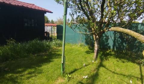 Sale Gardens, Gardens, Šaľa, Slovakia