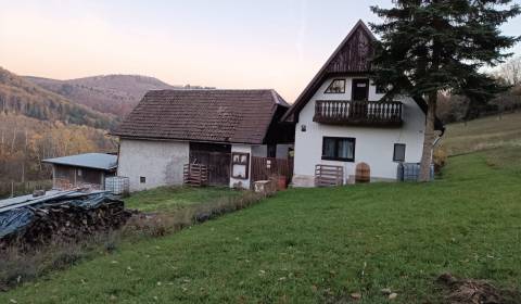 Sale Family house, Family house, Žarnovica, Slovakia