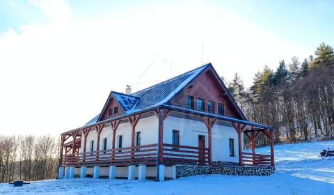 Sale Family house, Family house, Žarnovica, Slovakia