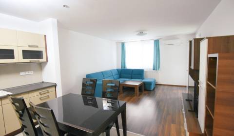 Rent One bedroom apartment, One bedroom apartment, Dolný Šianec, Trenč