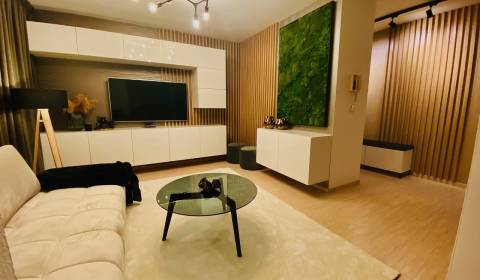 Bright 1-bedroom flat with balcony, Ružinov