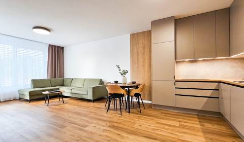 Rent One bedroom apartment, One bedroom apartment, Cukrovarská, Trnava