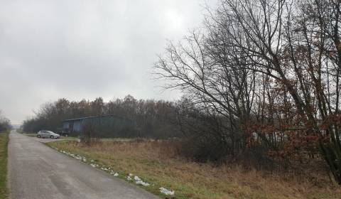 Sale Agrarian and forest land, Agrarian and forest land, Pezinok, Slov