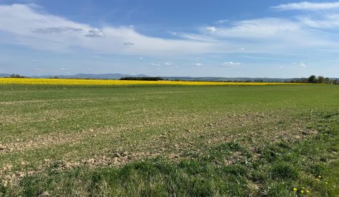 Sale Land – for living, Land – for living, Košice-okolie, Slovakia