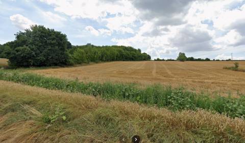 Sale Land – for living, Land – for living, Pod Hájom, Nitra, Slovakia