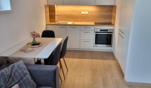 Rent One bedroom apartment, One bedroom apartment, Hlavná, Trnava, Slo