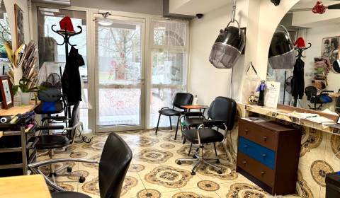 Rent Commercial premises, Commercial premises, Sputniková, Bratislava 