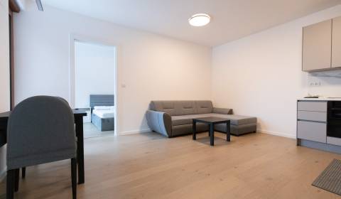 Brand-new 1-bedroom flat with balcony, ZWIRN
