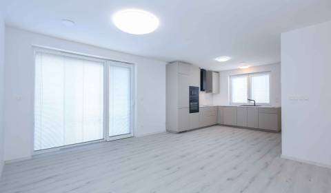 Sale Family house, Family house, Senec, Slovakia