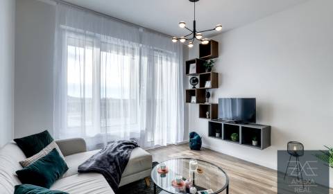 Sale One bedroom apartment, One bedroom apartment, Michala Bučiča, Bra