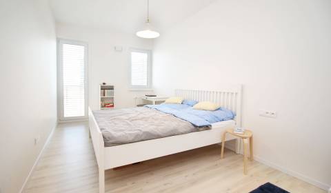 Rent One bedroom apartment, One bedroom apartment, Klincová, Bratislav