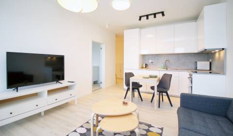 Rent One bedroom apartment, One bedroom apartment, Klincová, Bratislav