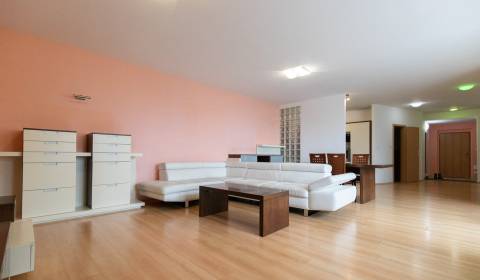 Spacious 2-bedroom flat with terrace, river view