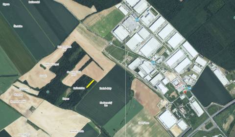 Sale Agrarian and forest land, Agrarian and forest land, Senec, Slovak