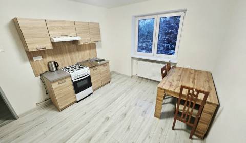Rent One bedroom apartment, One bedroom apartment, Bánovce nad Bebravo