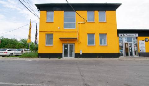 Rent Commercial premises, Commercial premises, Budovateľská, Nové Zámk
