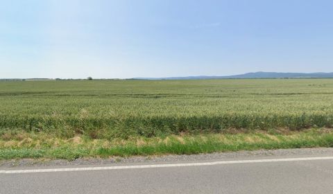 Sale Agrarian and forest land, Agrarian and forest land, Pezinok, Slov