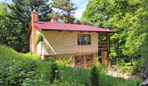 Sale Cottage, Cottage, Nitra, Slovakia