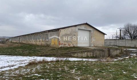 Rent Storehouses and Workshops, Storehouses and Workshops, Senica, Slo