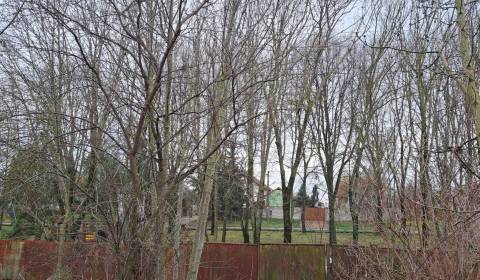 Sale Land – for living, Land – for living, Levice, Slovakia