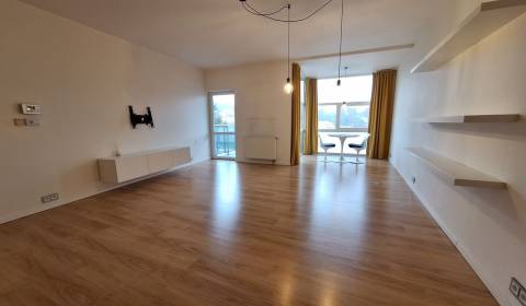 Rent One bedroom apartment, One bedroom apartment, Bôrická cesta, Žili