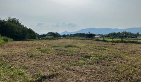 Sale Land plots - commercial, Land plots - commercial, P. O. Hviezdosl