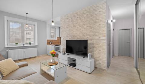 Sale One bedroom apartment, One bedroom apartment, Wilsonova, Bratisla