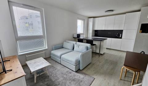 Rent One bedroom apartment, One bedroom apartment, Pri Hrubej lúke, Br