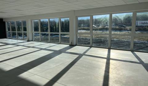 Rent Commercial premises, Commercial premises, SNP, Žilina, Slovakia