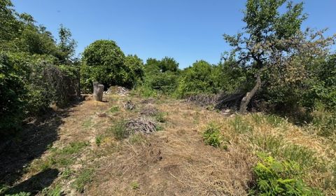 Sale Land – for living, Land – for living, Nové Zámky, Slovakia