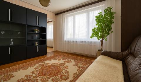 Sale Family house, Family house, Záhradná, Žiar nad Hronom, Slovakia