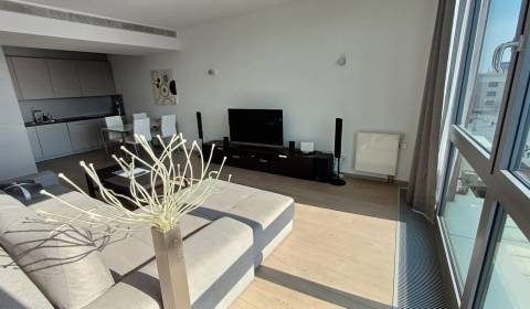 Rent One bedroom apartment, One bedroom apartment, Pribinova, Bratisla